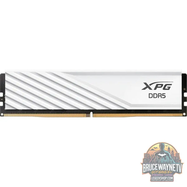 ADATA DIMM 32 GB DDR5-5600 (1x 32 GB), Arbeitsspeicher - ADATA