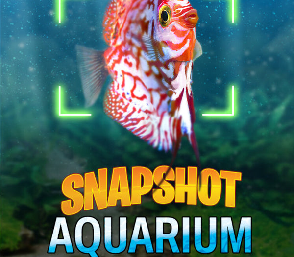 Snapshot Aquarium
