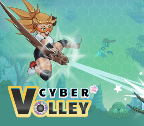Cyber Volley