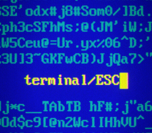 Terminal ESC