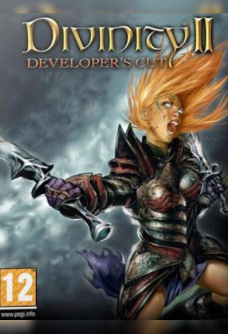 Divinity II: Developer's Cut Steam Key GLOBAL