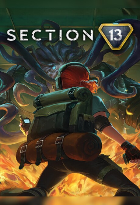 Section 13 (PC) - Steam Gift - EUROPE