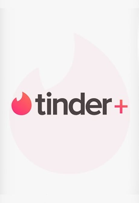 Tinder Plus 6 Months - tinder Key - FRANCE