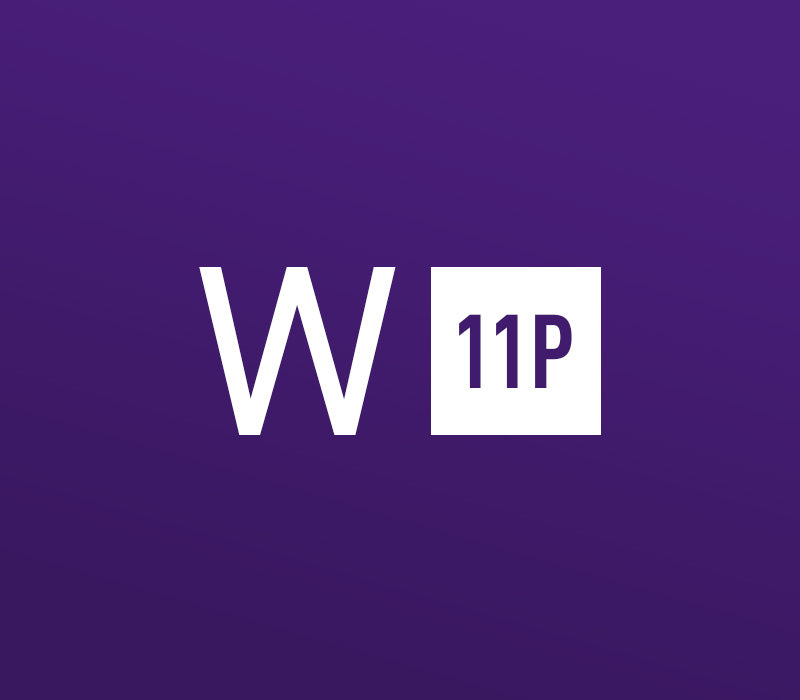 Windows 11 Professional OEM