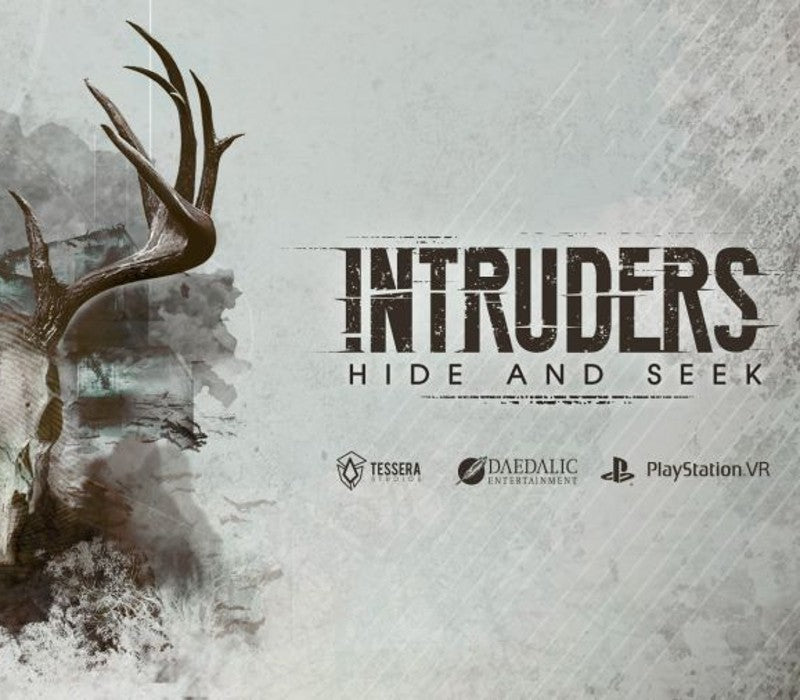 Intruders: Hide and Seek