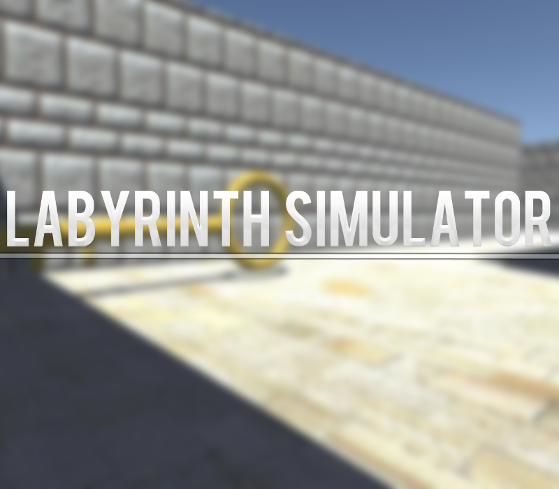 Labyrinth Simulator