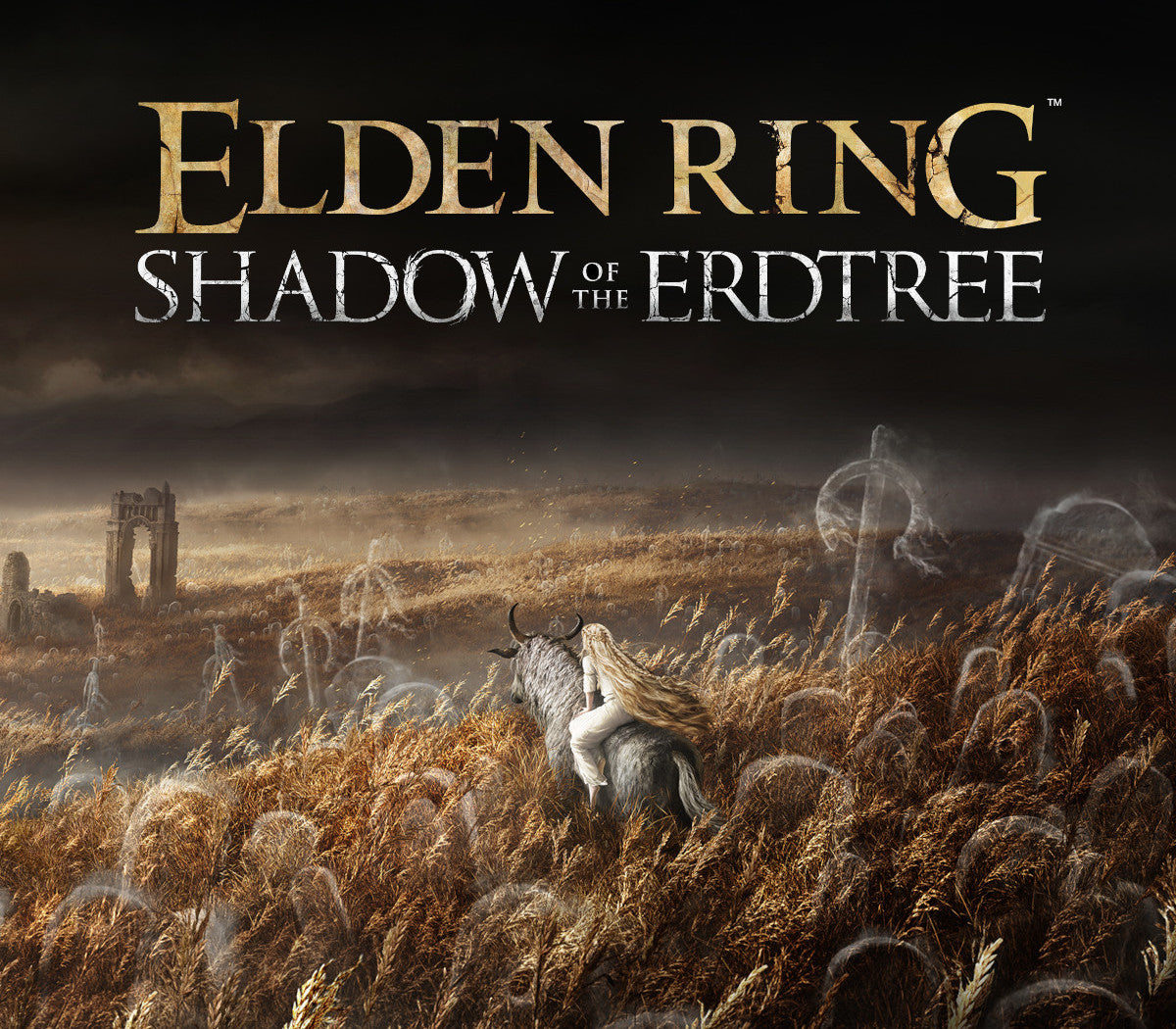 ELDEN RING - Shadow of the Erdtree DLC