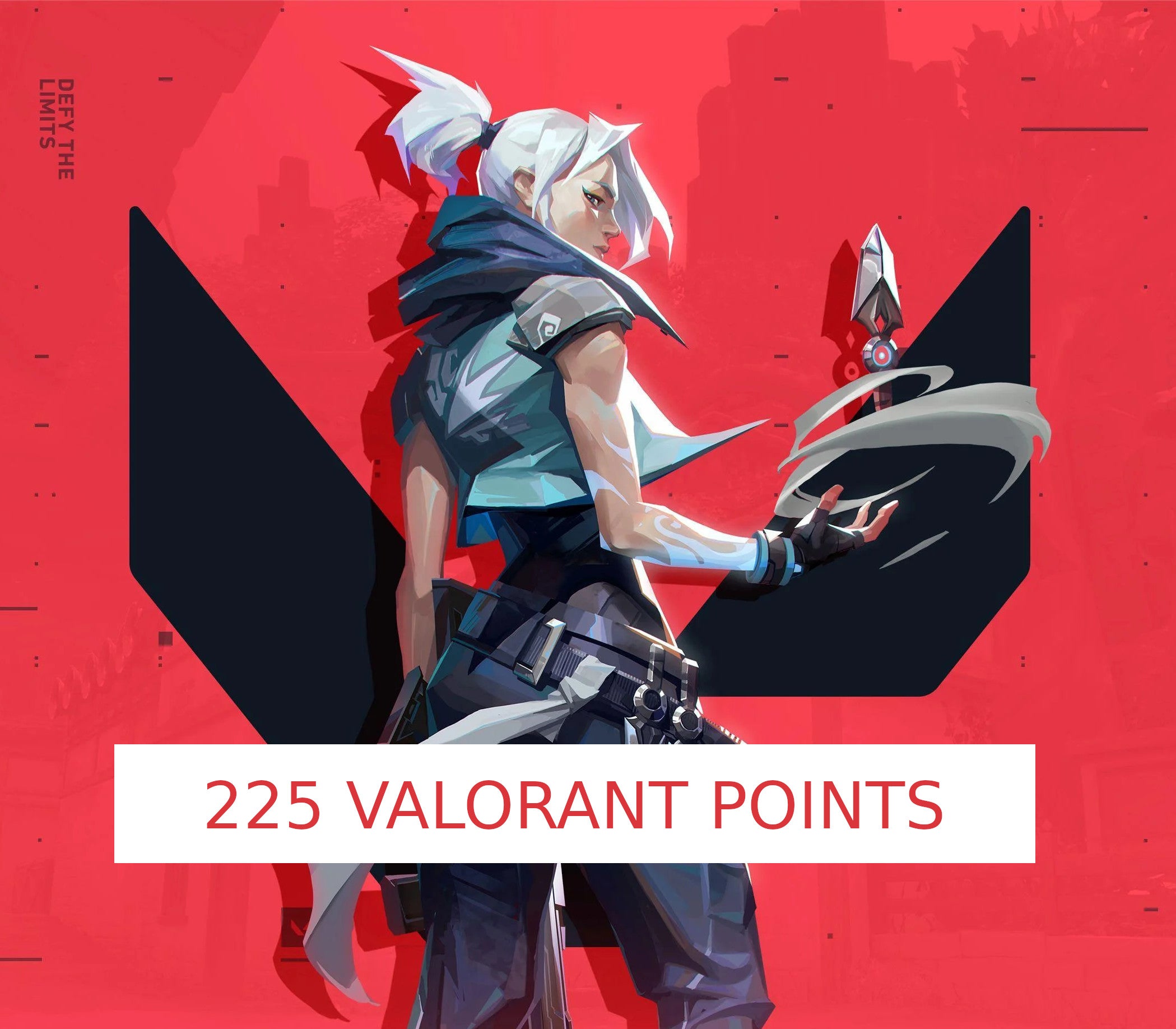 VALORANT - 225 Valorant Points Gift Card