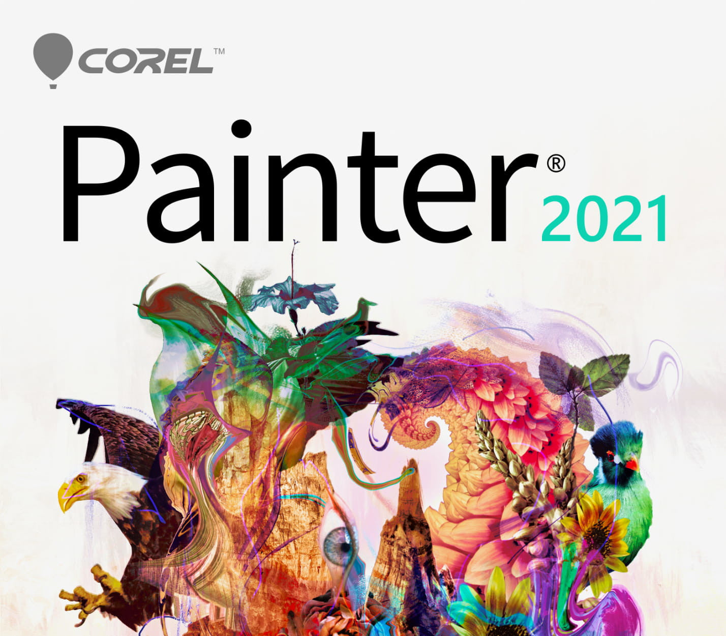 Corel Painter 2021 CD Key (5 PCs)