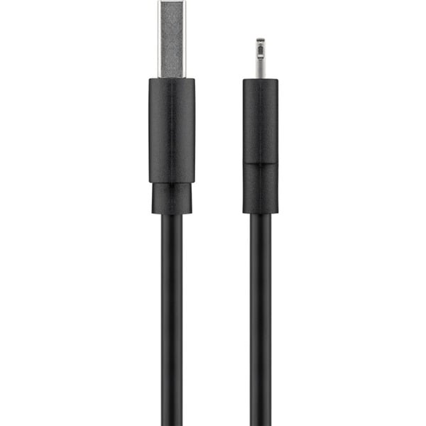 goobay USB 2.0 Adapterkabel, USB-A Stecker > Lightning Stecker - goobay - vue 2