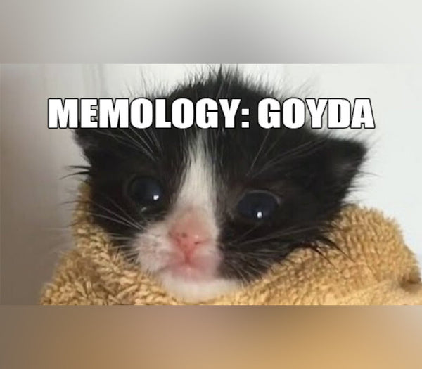 MEMOLOGY: GOYDA