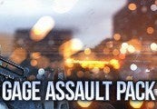 PAYDAY 2: The Bomb Heists