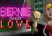 Bernie Needs Love