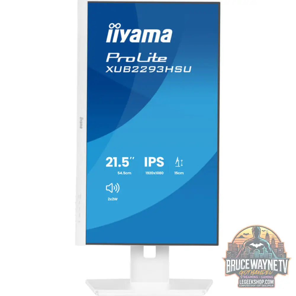 iiyama Prolite XUB2293HSU-W7 21,5" Full HD IPS 100 Hz - iiyama - vue 15