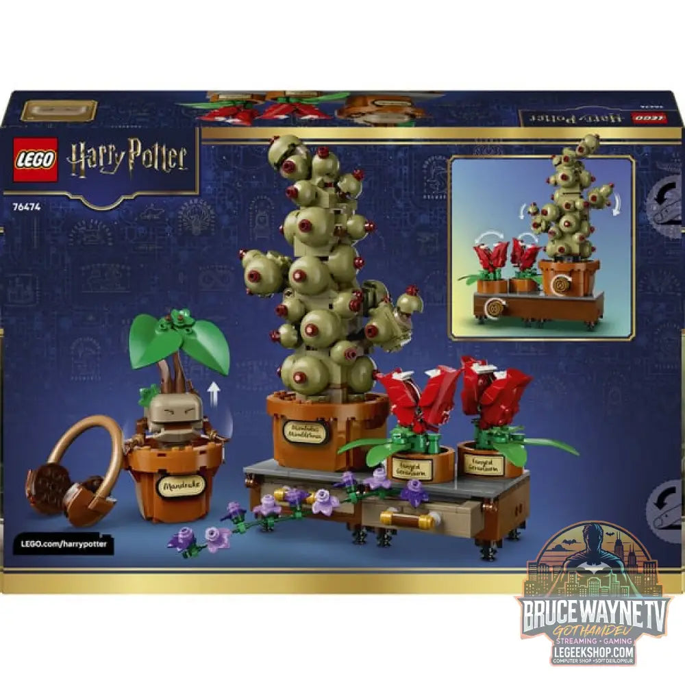 LEGO 76474 Harry Potter Schloss Hogwarts: Kräuterkunde-Pflanzen, jeu de construction - LEGO - vue 7