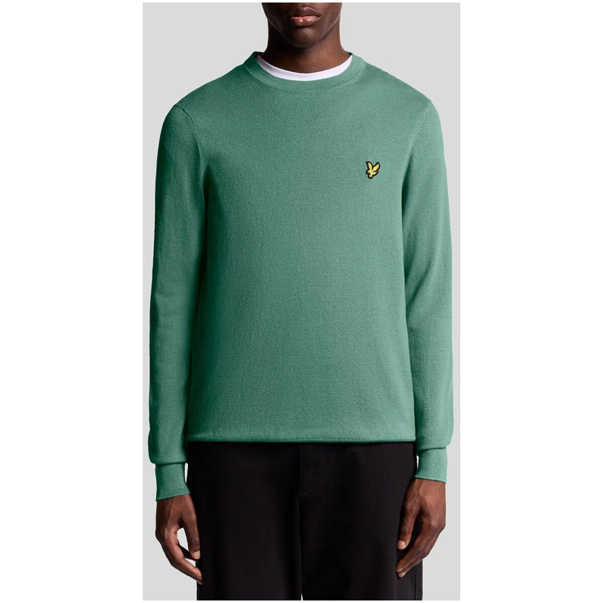 Lyle & Scott Pull homme — green