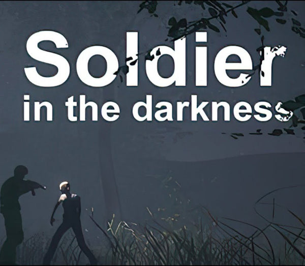 Soldier in the darkness