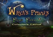 Witch's Pranks: Frog's Fortune Collector's Edition
